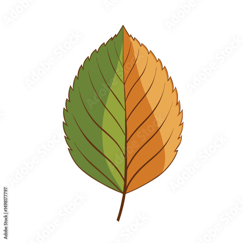 Leaf  isolated on white background. Leaf vector art illustration. Collection of beech leaf logo, icon vector.
