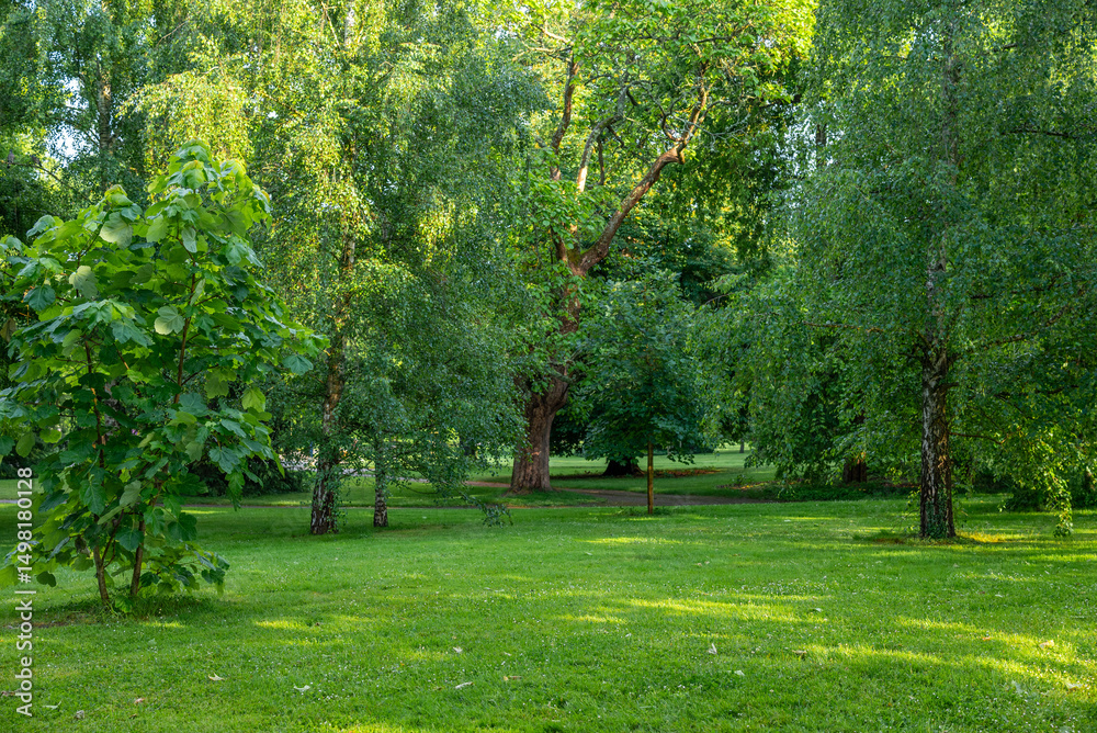 Fototapeta premium Le parc Napoléon III dans la ville de Vichy dans l'Allier en Auvergne