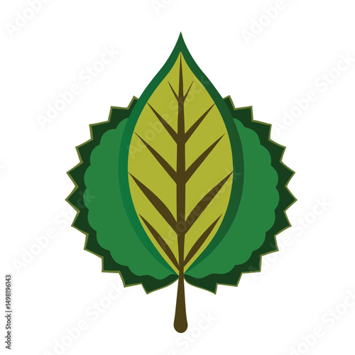 Chestnut leaf vector art illustration. green leaves on white background . Collection of Chestnut leaf  logo, icon vector.