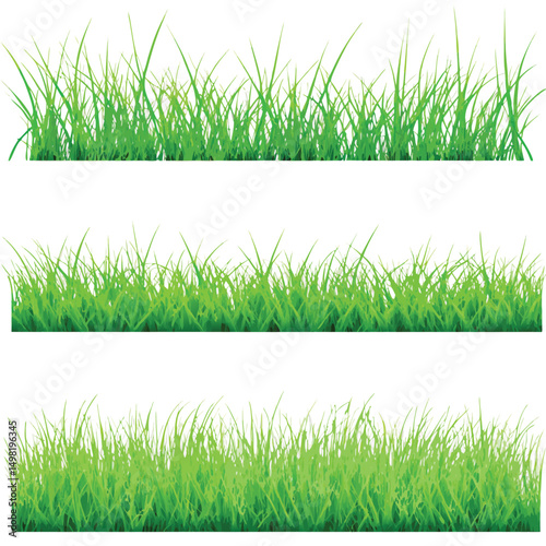 set of green grass vector