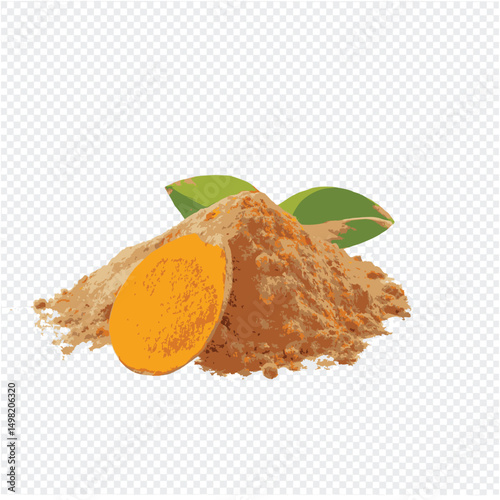 Fresh Turmeric Root with Slice and Green Leaves Isolated vector