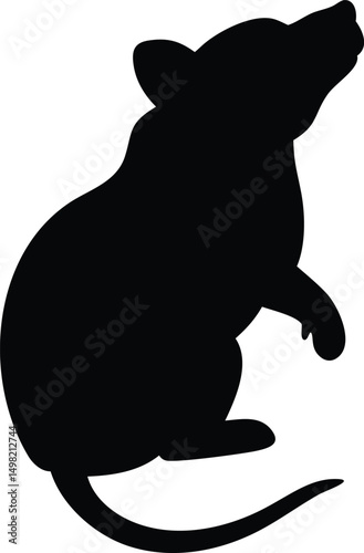 raccoon silhouette