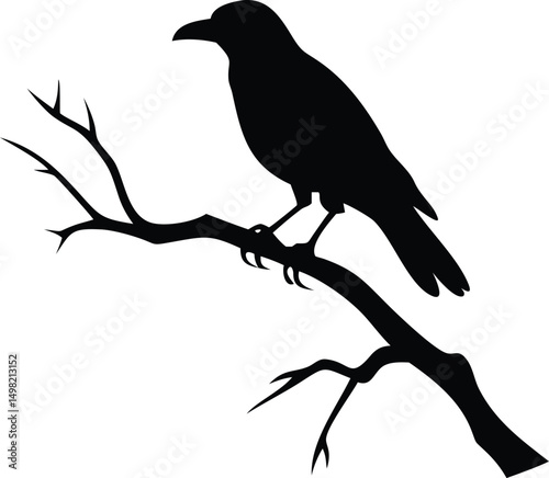 raven bird silhouette on a dead tree branch