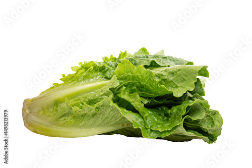 Romaine Lettuce on a transparent background.