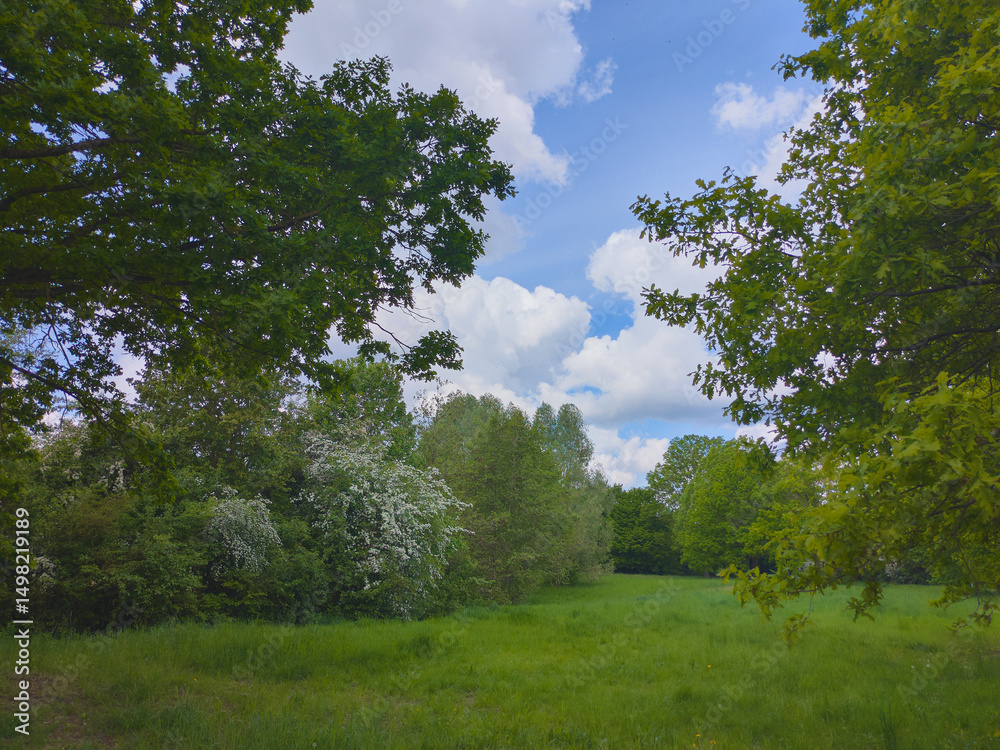 Obraz premium Ein Landschaft in Hannover- Bemerode 