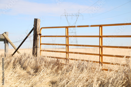 rural yellow metal gate in field of tall grass
