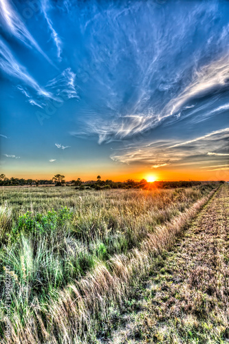 Sun setting over the Big Cypress National Preserve casts a warm glow over the prairie landscape. photo