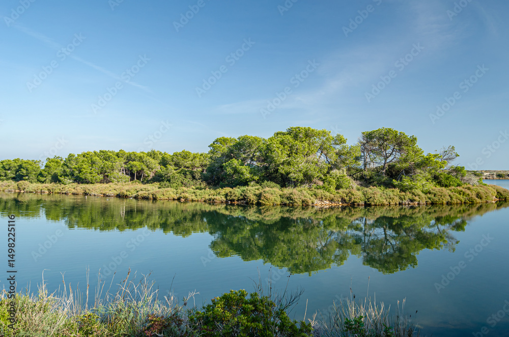 Fototapeta premium Artificial pond in the Albufera Natural Park, Valencia, Spain