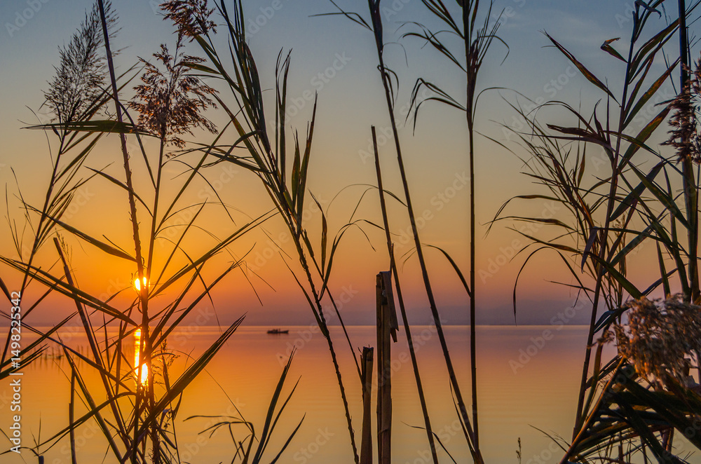 Obraz premium Sunset in the Albufera Natural Park, Valencia, Spain