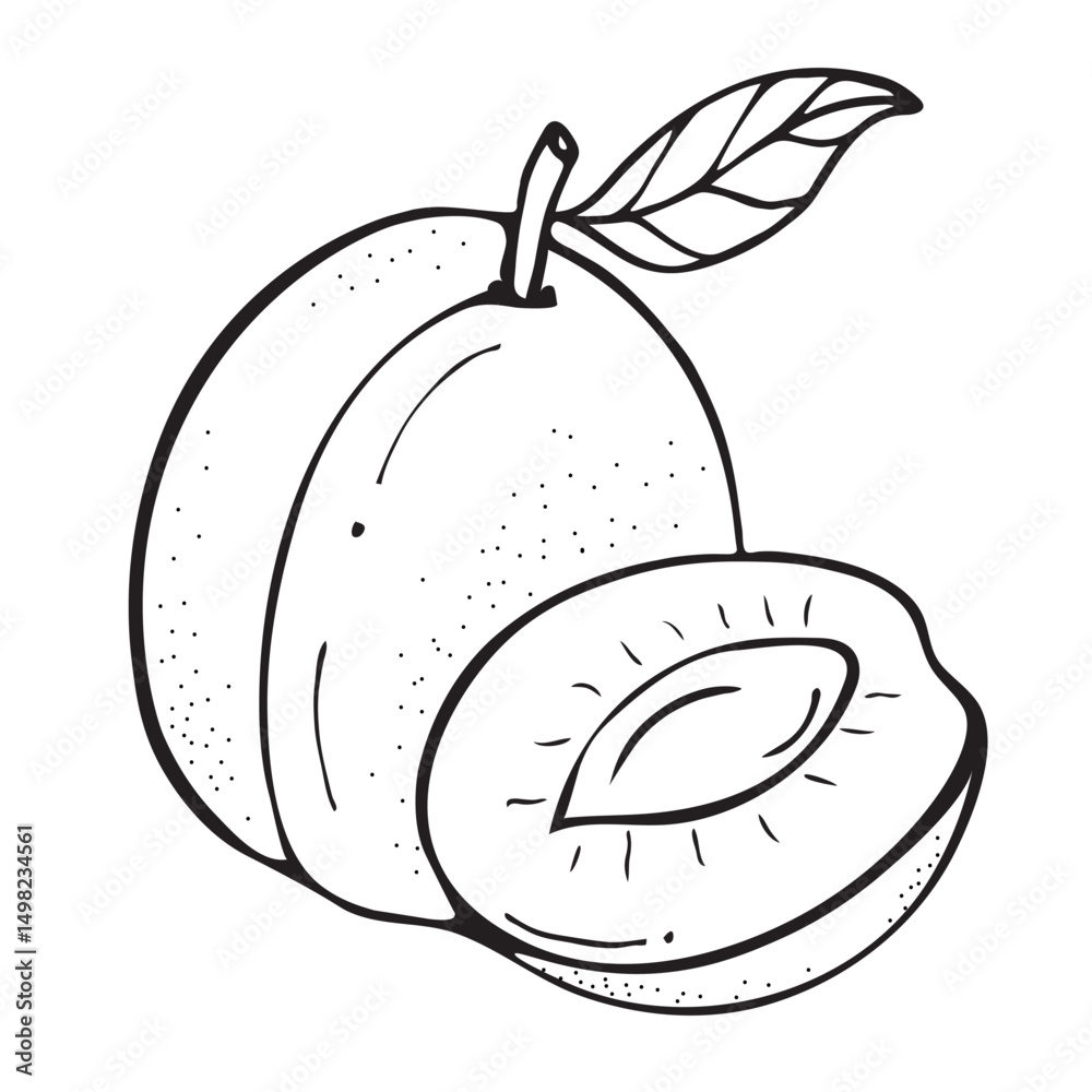 Obraz premium Plums sketch. Doodle art style. Cartoon black and white outline. Drawn vector illustrations of fruits for restaurant menu, market label, culinary design, banner, poster, children's coloring. 