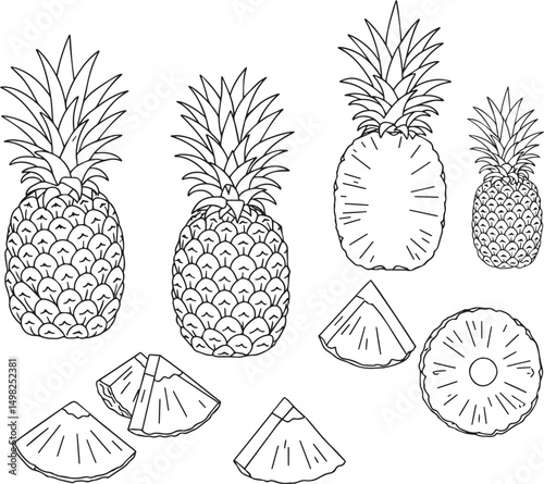 Line art illustration of pineapples whole and sliced