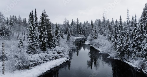 Fast forward moving view of snow covered trees and creek