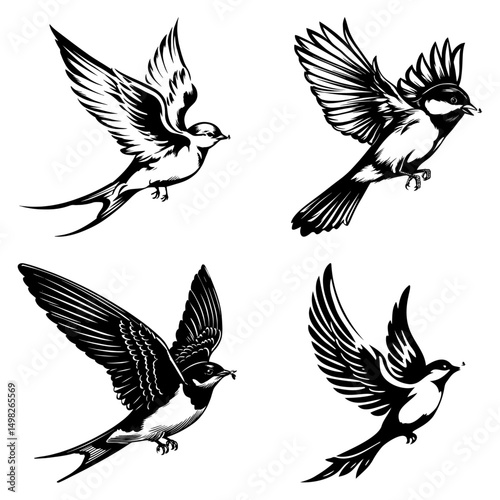 bird hunting fly mid-flight, black and white vector design 
