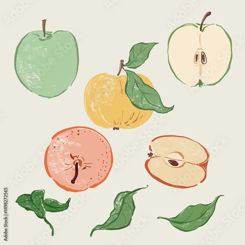 Vector fruit doodle illustration of juicy apples and green leaves. Hand-drawn garden harvest sketch. Organic farm graphics. Tasty food for design, veggie market drawing print, fabric or background.