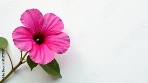 A vibrant pink blossom with delicate petals and lush green leaves, elegantly presented against a pristine white backdrop.