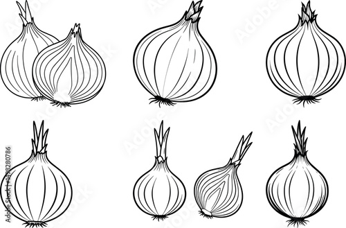 Six line drawings of onions various sizes and shapes