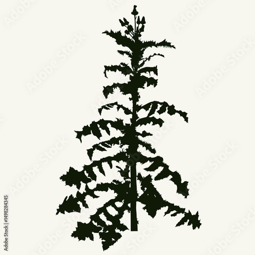 Silhouette of a wild plant with thorny leaves.eps