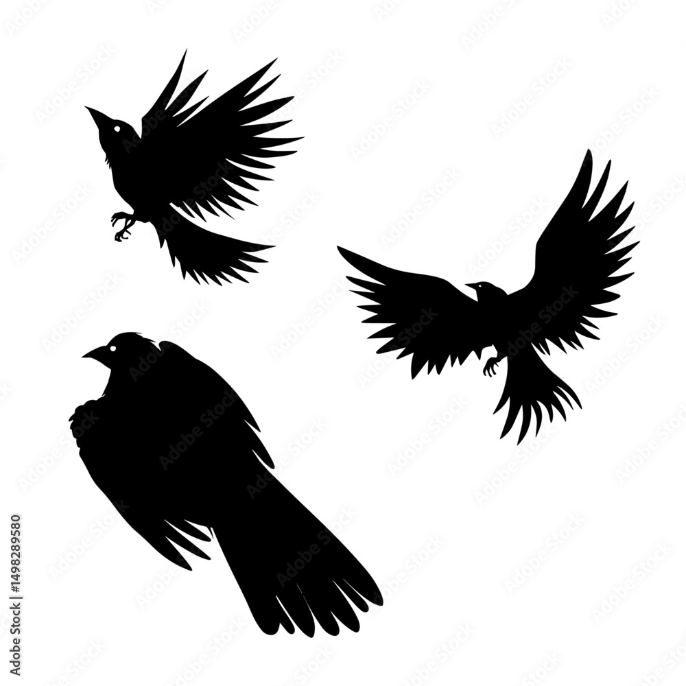 Obraz premium Bird Silhouette Vector Design