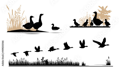 Nature landscape with birds silhouettes. Ducks and geese.  Vector illustration.	