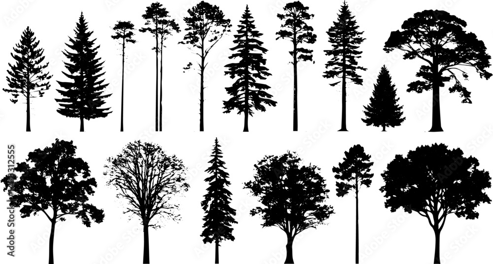 Fototapeta premium Realistic Tree Silhouette Collection, Deciduous and Coniferous Vector Trees for Landscape Design