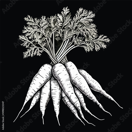 High-Quality Black and White Isolated Carrot Vegetable Photo for Creative Projects