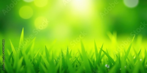 Vibrant Green Grass Blades in a Sunny Meadow with Soft Focus Background