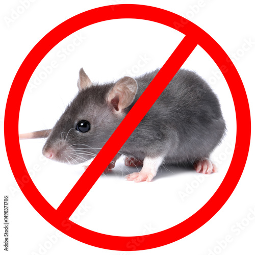 Little rat with red prohibition sign on white background. Pest control