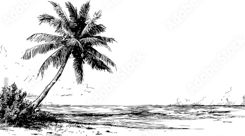 Black and white sketch of a lonely palm tree by the beach, serene day scenery. Vector illustration