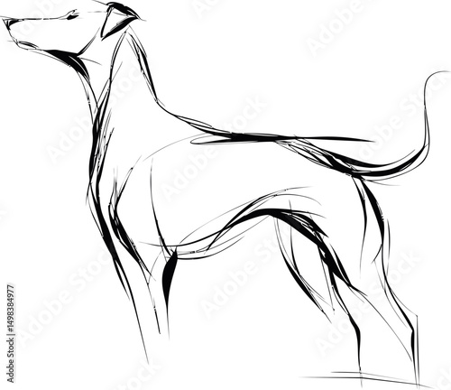 Abstract black line drawing of a standing dog on white background. Vector illustration