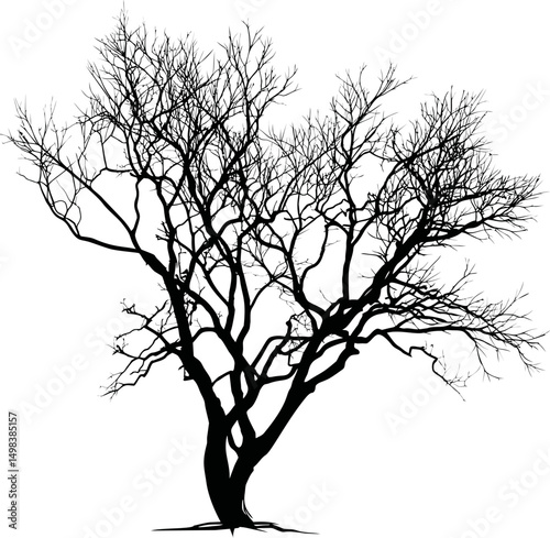 Silhouette of a bare branched tree on a white background, artistic nature design. Vector illustration