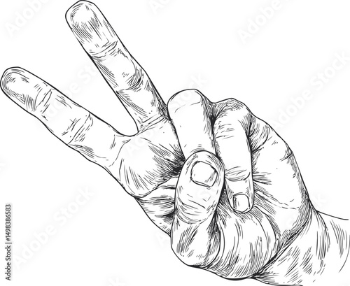 Sketch of a hand showing a peace sign with detailed line art drawing. Vector illustration