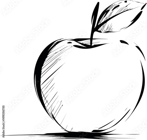 Black and white sketch of an apple with a leaf, minimalist line art style. Vector illustration