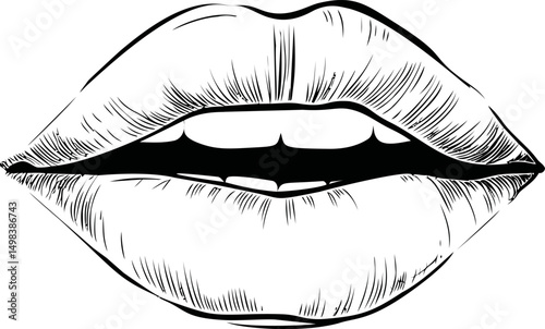 Detailed black and white line art of lips with an artistic style. Vector illustration