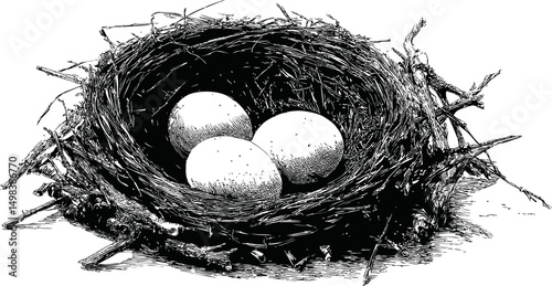 Three eggs in a detailed black and white bird's nest illustration. Vector illustration