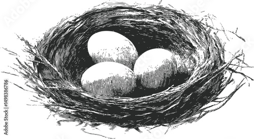 Black and white illustration of three eggs nestled in a bird's nest, vintage style. Vector illustration