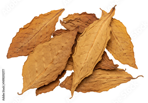 Dried Tobacco Leaves Premium Quality Natural Brown isolated on transparent background