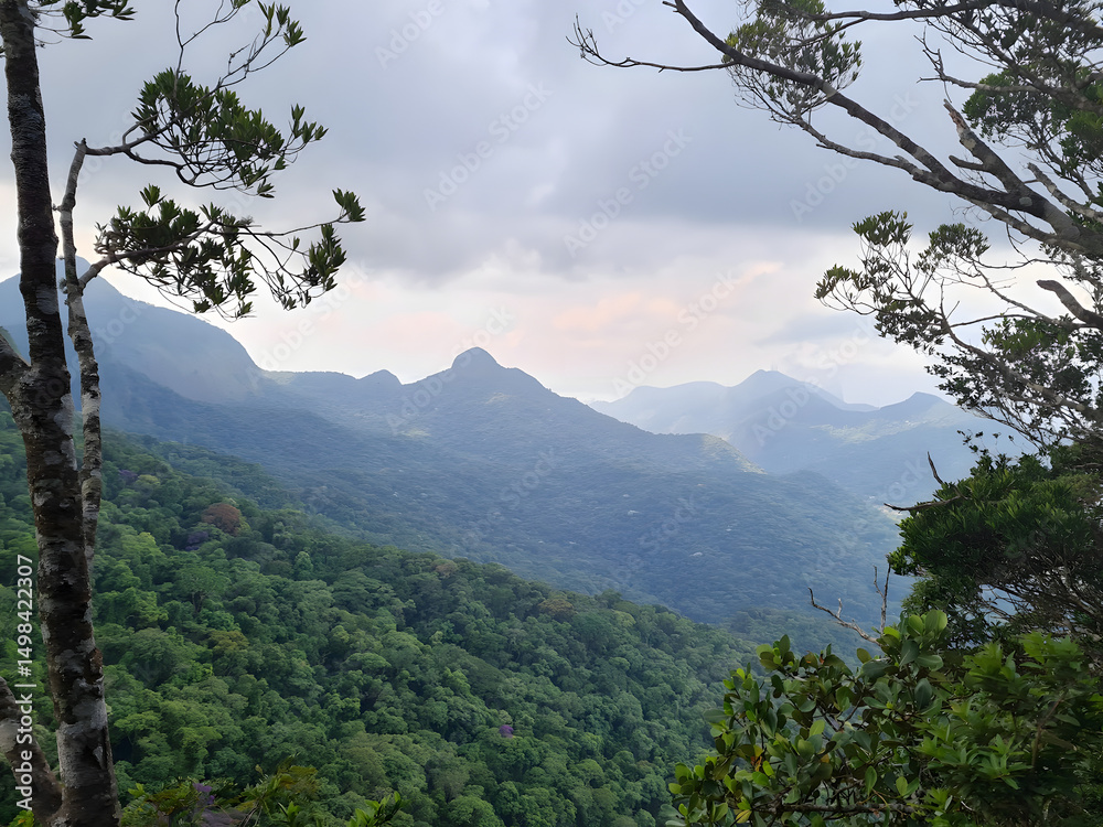 Obraz premium A Serene Mountain Vista: A breathtaking panorama of lush green hills and towering mountains, framed by verdant treetops, under a subtly clouded sky. A scene of pure, untamed beauty.