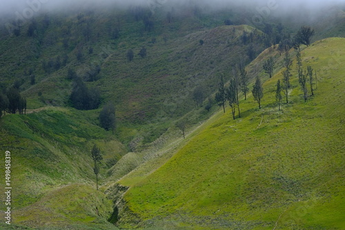 green hills covered with green grass. fog on the hilltop. Lembah Watangan Bromo. photo