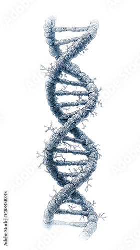 Stylized dna helix illustration isolated on transparent background