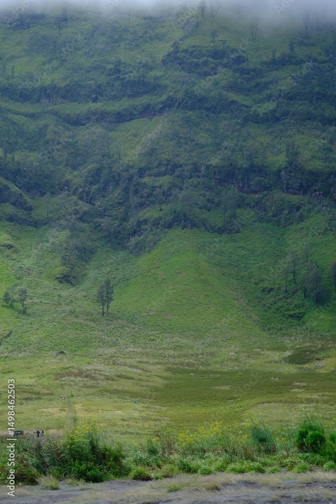 Obraz premium green mossy rocky mountain cliffs