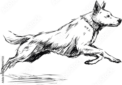 Black and white sketch of a dog mid-jump in dynamic motion illustration. Vector illustration