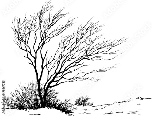 Black and white illustration of a windswept tree in a barren landscape. Vector illustration
