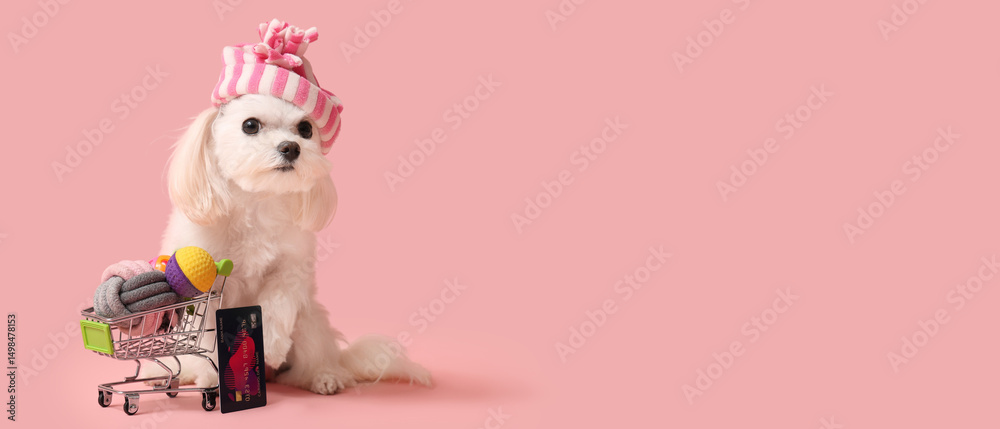 Naklejka premium Cute Bolognese dog in hat and shopping cart with toys and credit card on pink background