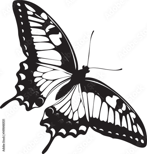 Swallowtail butterfly silhouette vector design with white background ..