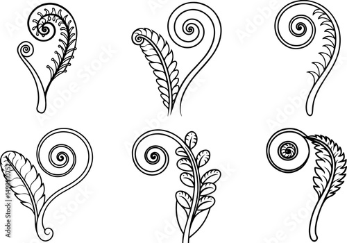 Set of fiddlehead fern outline line art illustration, coloring book page