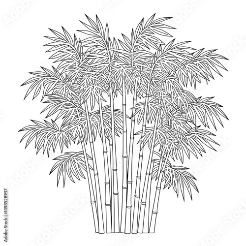 ‎A black and white  bamboo tree line art of a coloring page