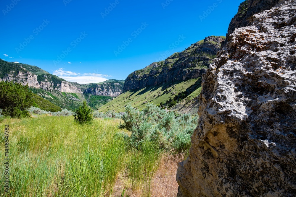 Fototapeta premium Wyoming landscape