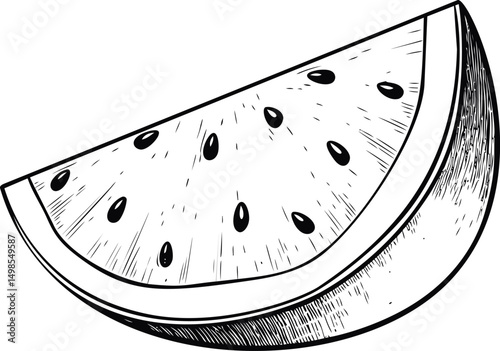 Black and white illustration of a watermelon slice with seeds. Vector illustration