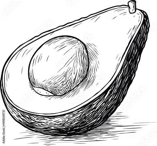 Detailed black and white sketch of an avocado half with seed, cross-section view. Vector illustration