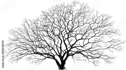 Silhouette of a bare tree with intricate branches. Vector illustration